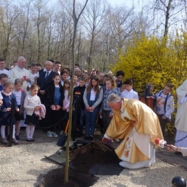 Sadzenie Dębu Niepodległości foto_19