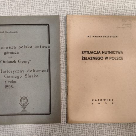 Zasoby książkowe Brunona Buzka