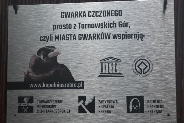 1 1670942423 gwarek smzt