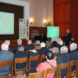 Foto_2