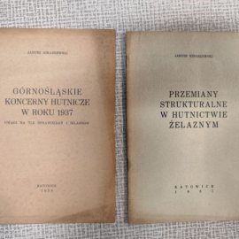 Zasoby książkowe Brunona Buzka